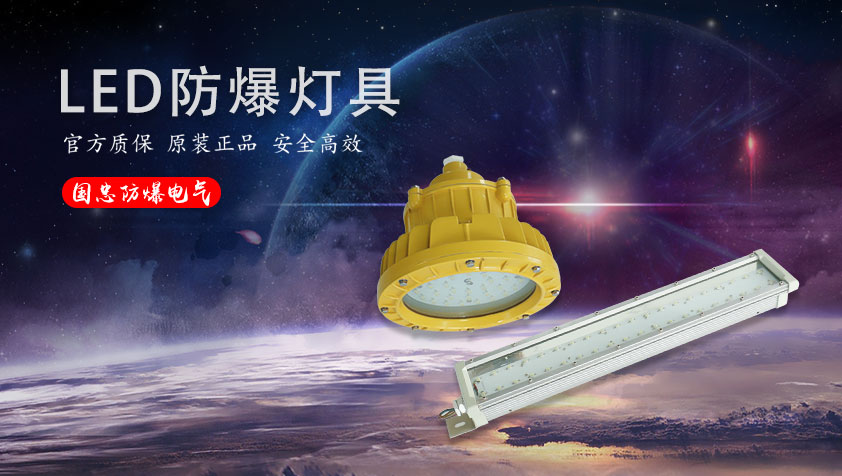国忠防爆控制箱